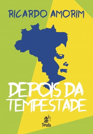 Capa do livro Depois da Tempestade, de Ricardo Amorim