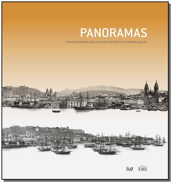 Capa do livro Panoramas - Catalogo, de Carlos / Burgi, Sergio Martins