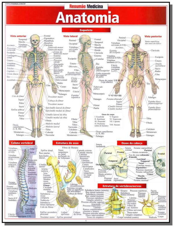 Capa do livro Resumao Medicina - Anatomia, de Barros Fischer e Associados