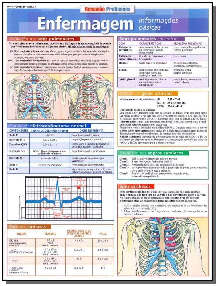 Resumao Medicina - Enfermagem Info. Basicas