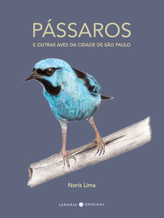 Capa do livro Pássaros - Da Cidade de São Paulo, de Noris Lima