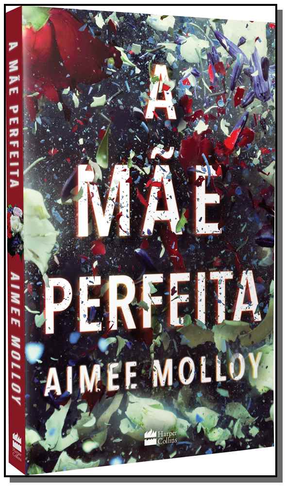A Mãe Perfeita